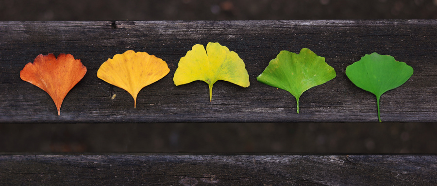 白內(nèi)障癥狀